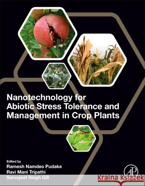 Nanotechnology for Abiotic Stress Tolerance and Management in Crop Plants  9780443185007 Elsevier Science Publishing Co Inc - książka