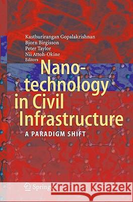 Nanotechnology in Civil Infrastructure: A Paradigm Shift Gopalakrishnan, Kasthurirangan 9783642166563 Not Avail - książka