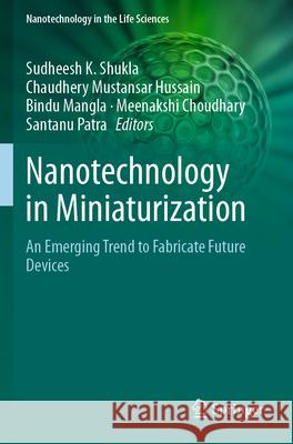 Nanotechnology in Miniaturization  9783031720062 Springer Nature Switzerland - książka