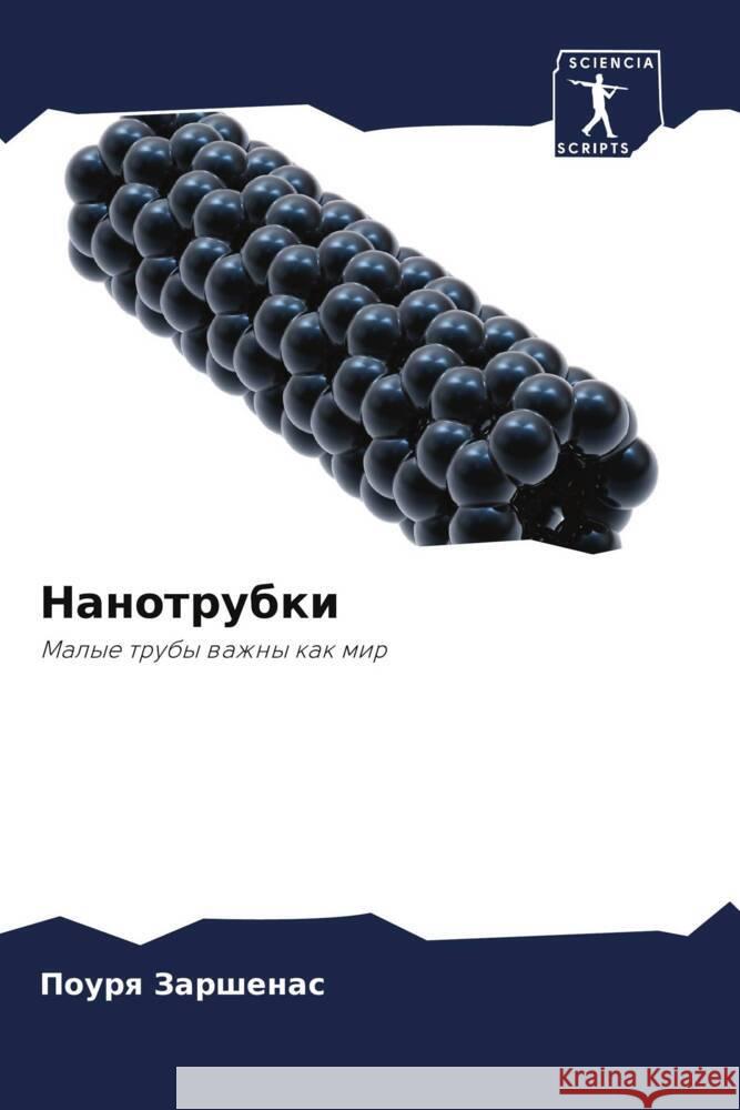 Nanotrubki Zarshenas, Pourq 9786204700052 Sciencia Scripts - książka