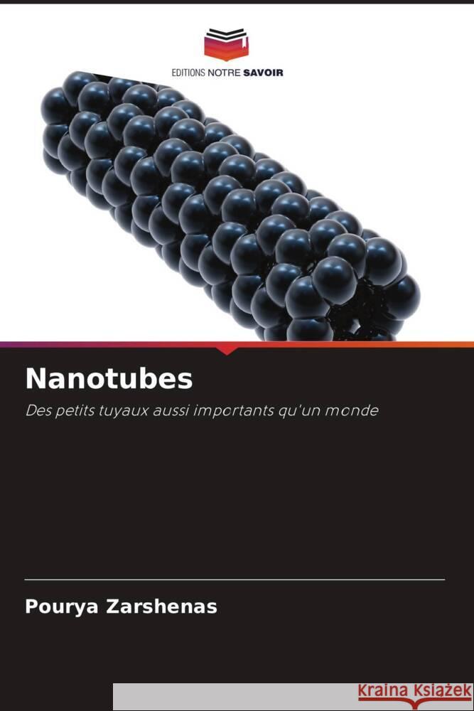 Nanotubes Zarshenas, Pourya 9786204700021 Editions Notre Savoir - książka