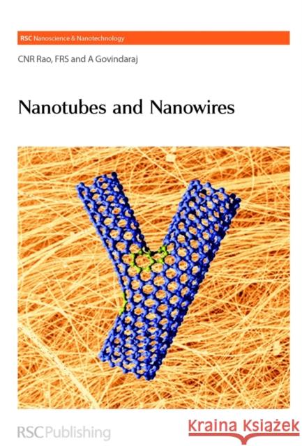 Nanotubes and Nanowires Govindaraj, A. 9780854048328 Royal Society of Chemistry - książka