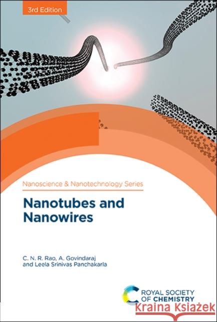 Nanotubes and Nanowires  9781788017824 Royal Society of Chemistry - książka