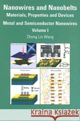 Nanowires and Nanobelts: Materials, Properties and Devices. Volume 1: Metal and Semiconductor Nanowires Wang, Zhong Lin 9780387287058 Springer - książka