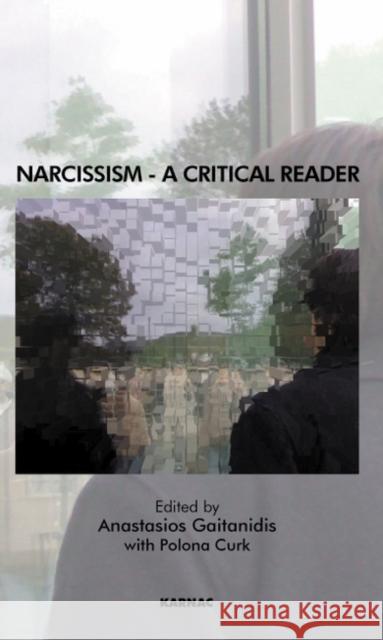 Narcissism : A Critical Reader Anastasios Gaitanidis Polona Curk 9781855754539 Karnac Books - książka