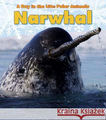 Narwhal Katie Marsico 9781432953393 Heinemann Educational Books - książka