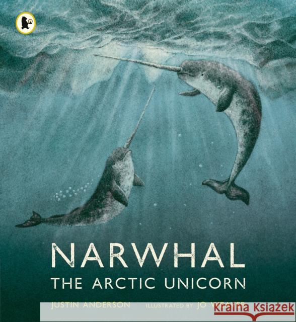 Narwhal: The Arctic Unicorn Justin Anderson 9781529513912 Walker Books Ltd - książka