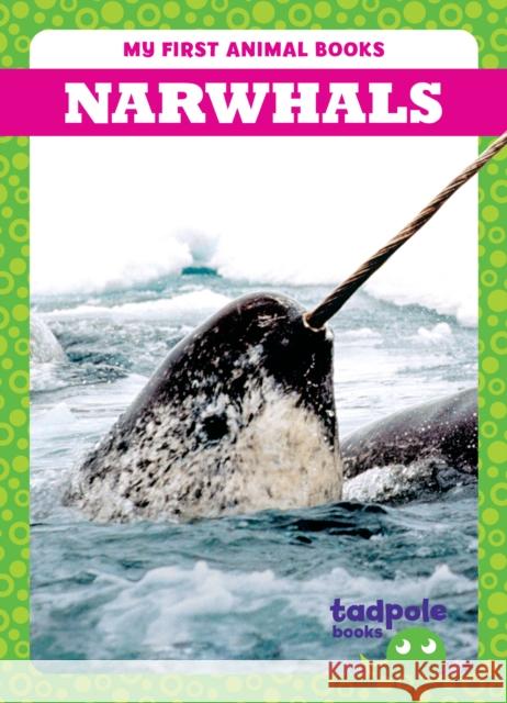 Narwhals Genevieve Nilsen 9798885246736 Tadpole Books - książka