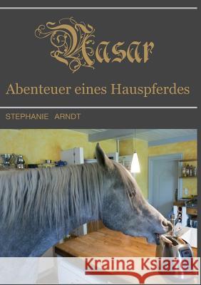 Nasar: Abenteuer eines Hauspferdes Arndt, Stephanie 9783732300884 Tredition Gmbh - książka