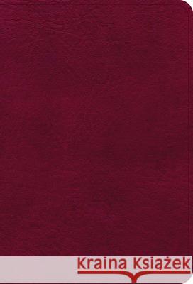 NASB Large Print Compact Reference Bible, Burgundy Leathertouch Holman Bible Publishers 9781087765730 Holman Bibles - książka