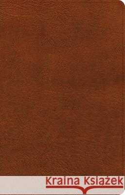 NASB Large Print Personal Size Reference Bible, Burnt Sienna Leathertouch Holman Bible Publishers 9781087756271 Holman Bibles - książka