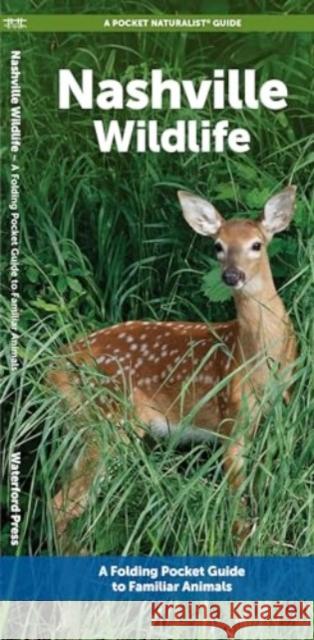 Nashville Wildlife: A Folding Pocket Guide to Familiar Animals Waterford Press 9781620057049 Waterford Press - książka