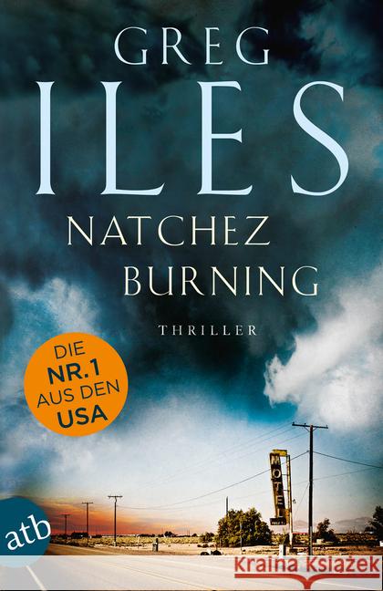 Natchez Burning : Thriller Iles, Greg 9783746632100 Aufbau TB - książka