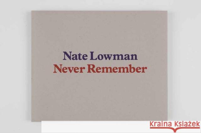 Nate Lowman Paul Alexander 9780847868148 Gagosian / Rizzoli - książka