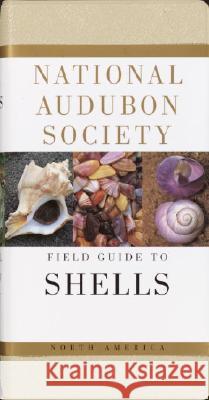 National Audubon Society Field Guide to North American Seashells Harald A. Rehder James M., Jr. Carmichael 9780394519135 Alfred A. Knopf - książka