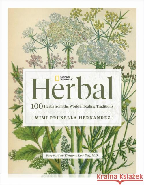 National Geographic Herbal: 100 Herbs from the World\'s Healing Traditions Mimi Prunella Hernandez 9781426222399 National Geographic Society - książka