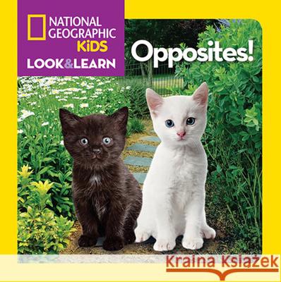 National Geographic Kids Look and Learn: Opposites! National Geographic Kids 9781426310430 National Geographic Society - książka