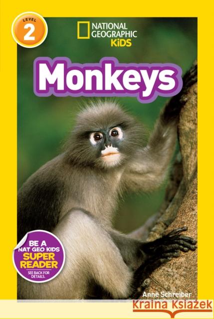 National Geographic Kids Readers: Monkeys National Geographic Kids 9781426311062 National Geographic Kids - książka