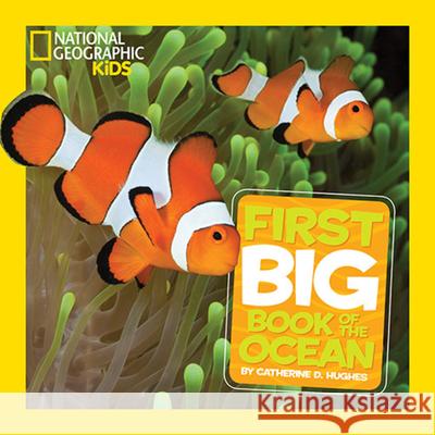 National Geographic Little Kids First Big Book of the Ocean Catherine D. Hughes 9781426313691 National Geographic Society - książka