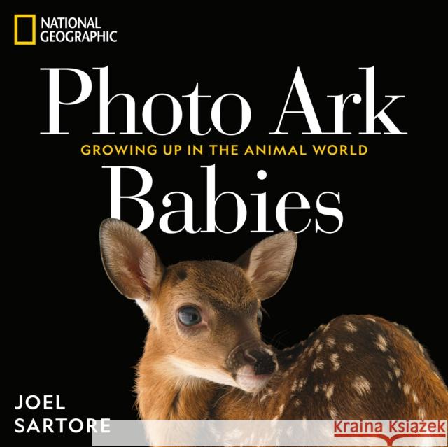 National Geographic Photo Ark Babies: Growing Up in the Animal World Joel Sartore 9781426224065 National Geographic Society - książka