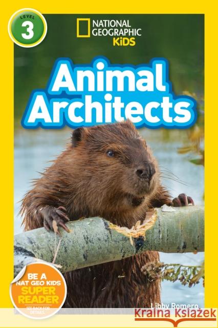 National Geographic Readers: Animal Architects (L3) Libby Romero 9781426333279 National Geographic Society - książka
