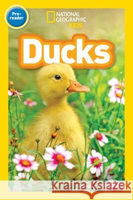 National Geographic Readers: Ducks (Pre-Reader) Jennifer Szymanski 9781426332104 National Geographic Society - książka