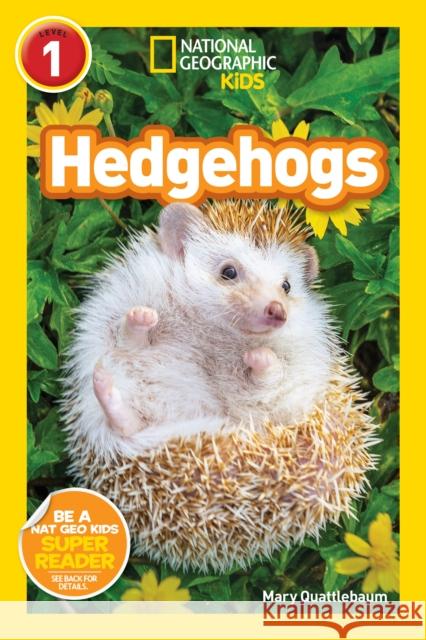 National Geographic Readers: Hedgehogs (Level 1) Quattlebaum, Mary 9781426338304 National Geographic Society - książka