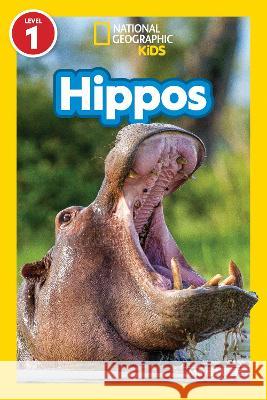 National Geographic Readers Hippos (Level 1) Maya Myers 9781426377068 National Geographic Kids - książka