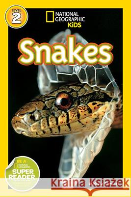 National Geographic Readers: Snakes! Melissa Stewart 9781426304286  - książka