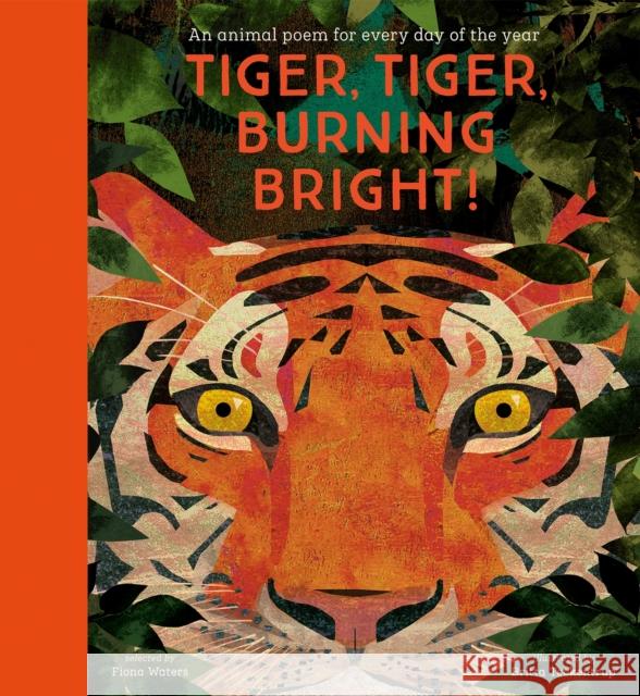 National Trust: Tiger, Tiger, Burning Bright! An Animal Poem for Every Day of the Year (Poetry Collections) Fiona Waters 9781788005678 Nosy Crow Ltd - książka