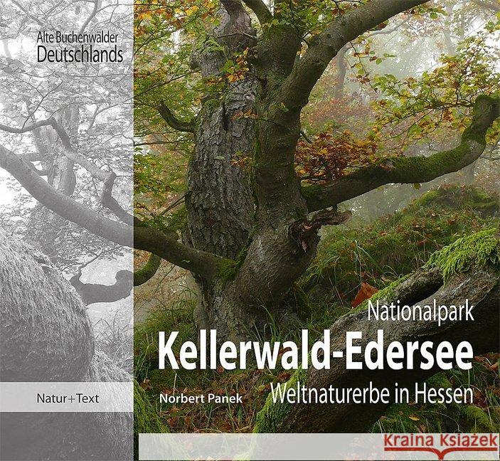 Nationalpark Kellerwald-Edersee : Weltnaturerbe in Hessen Panek, Norbert 9783942062305 Natur+Text Verlag - książka