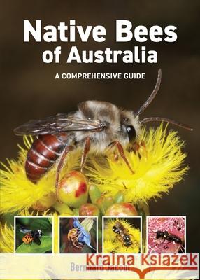 Native Bees of Australia: A Comprehensive Guide Bernhard Jacobi 9781760796372 New Holland Publishers - książka