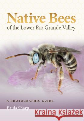 Native Bees of the Lower Rio Grande Valley: A Photographic Guide Paula Sharp 9781648432002 Texas A&M University Press - książka