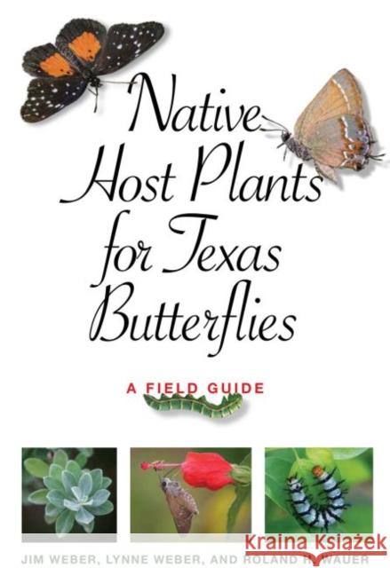 Native Host Plants for Texas Butterflies: A Field Guide Jim Weber Lynne M. Weber Roland H. Wauer 9781623496463 Texas A&M University Press - książka