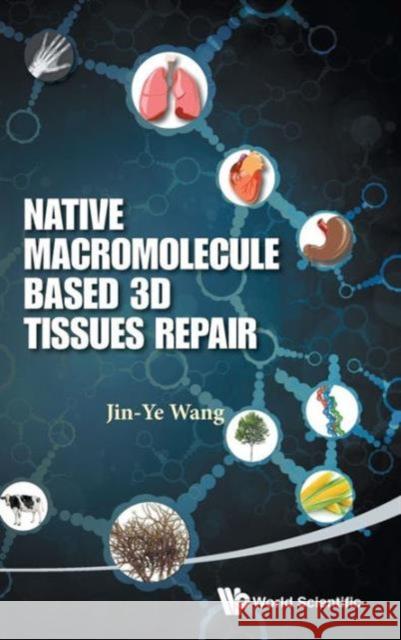 Native Macromolecule-Based 3D Tissues Repair Wang, Jin-Ye 9789814551922 World Scientific Publishing Company - książka