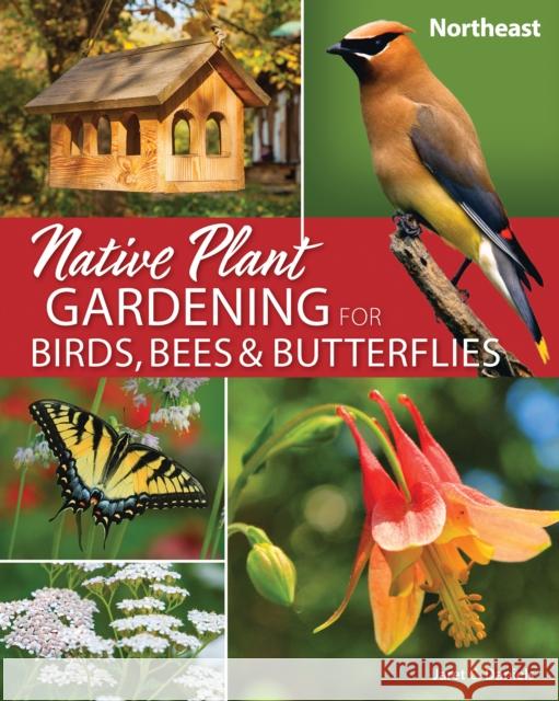 Native Plant Gardening for Birds, Bees & Butterflies: Northeast Jaret C. Daniels 9781647552534 Adventure Publications, Incorporated - książka