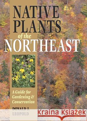 Native Plants of the Northeast: A Guide for Gardening and Conservation Donald Leopold 9780881926736 Timber Press (OR) - książka