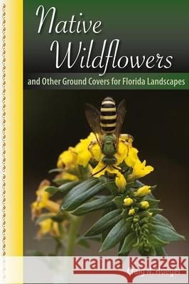 Native Wildflowers and Other Ground Covers for Florida Landscapes Craig N. Huegel 9780813039800 University Press of Florida - książka