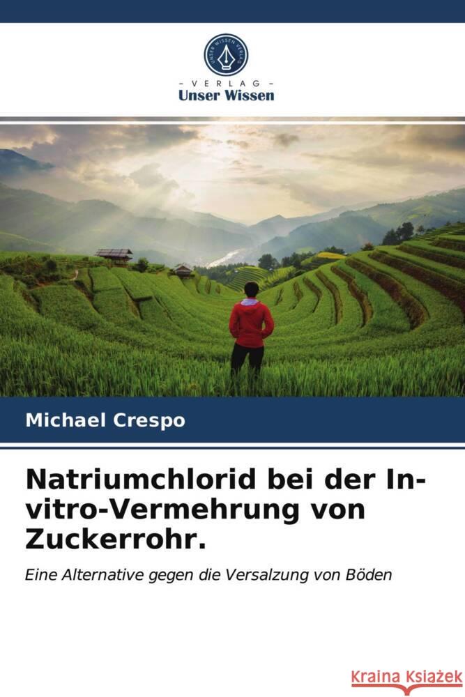 Natriumchlorid bei der In-vitro-Vermehrung von Zuckerrohr. Crespo, Michael 9786203704709 Verlag Unser Wissen - książka