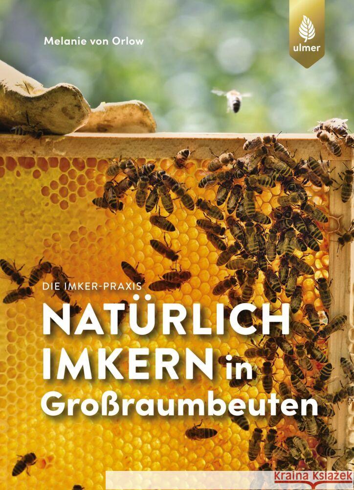 Natürlich imkern in Großraumbeuten Orlow, Melanie von 9783818611477 Verlag Eugen Ulmer - książka