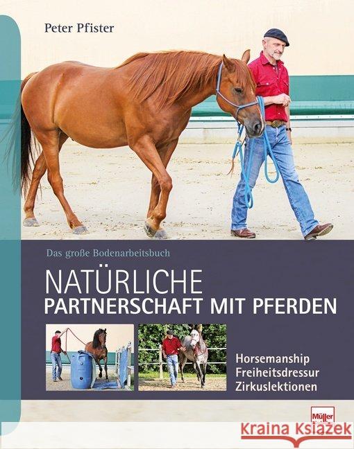 Natürliche Partnerschaft mit Pferden : Das große Bodenarbeitsbuch. Horsemanship, Freiheitsdressur, Zirkuslektionen Pfister, Peter 9783275021628 Müller Rüschlikon - książka