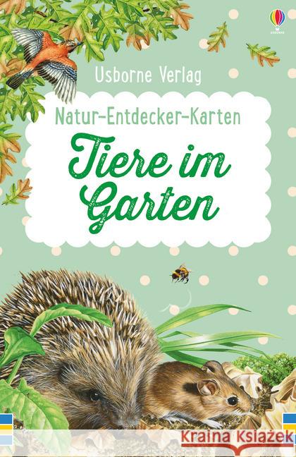 Natur-Entdecker-Karten: Tiere im Garten Tudhope, Simon 9781782325925 Usborne Verlag - książka