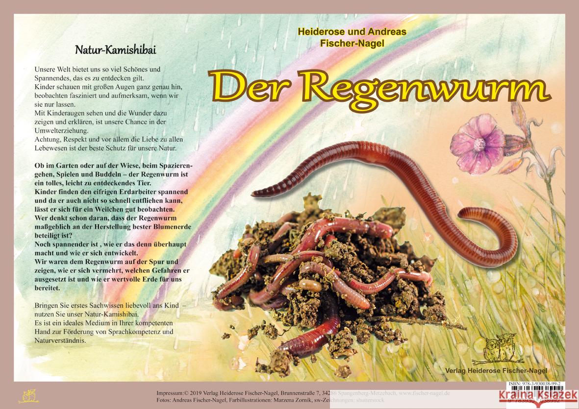 Natur-Kamishibai / Natur-Kamishibai - Der Regenwurm Fischer-Nagel, Heiderose, Fischer-Nagel, Andreas 9783930038992 Fischer-Nagel - książka