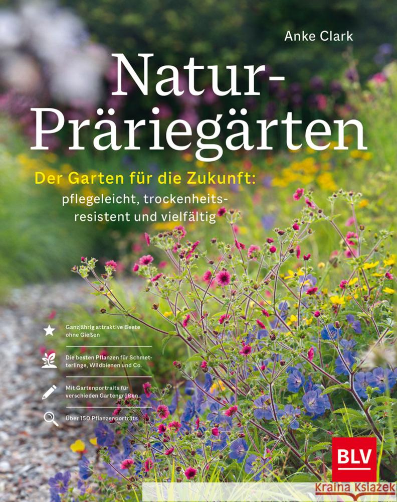 Natur-Präriegärten Clark, Anke 9783967471243 BLV Buchverlag - książka