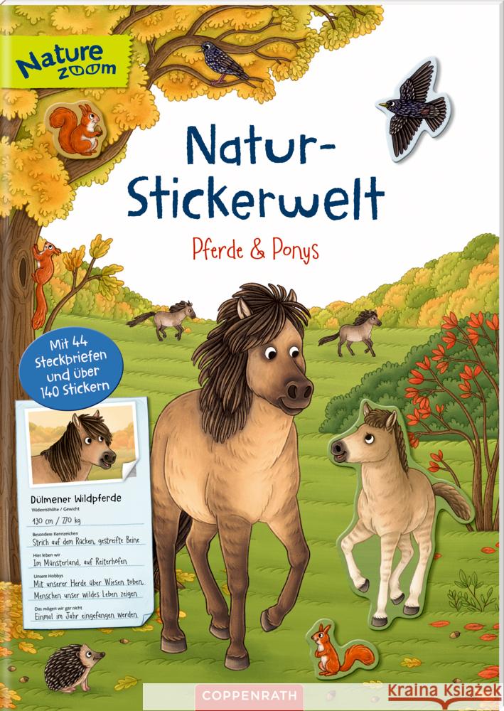 Natur-Stickerwelt - Pferde und Ponys  9783649641292 Coppenrath, Münster - książka