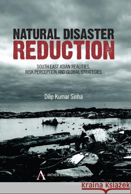 Natural Disaster Reduction: South East Asian Realities, Risk Perception and Global Strategies Kumar Sinha, Dilip 9781843317043 Anthem Press - książka