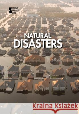 Natural Disasters Lynn Zott 9780737760613 Greenhaven Press - książka