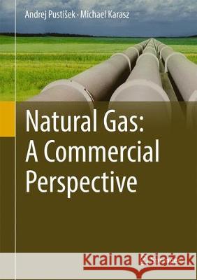 Natural Gas: A Commercial Perspective Pustisek, Andrej 9783319532486 Springer - książka