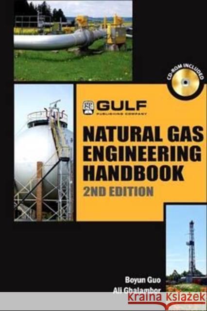 Natural Gas Engineering Handbook Boyan Guo Ali Ghalambor 9780128103395 Gulf Publishing Company - książka