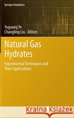 Natural Gas Hydrates: Experimental Techniques and Their Applications Ye, Yuguang 9783642311000 Springer - książka